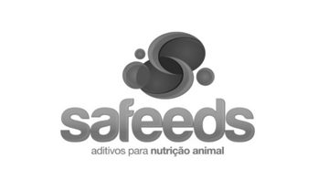Sem-Titulo-1